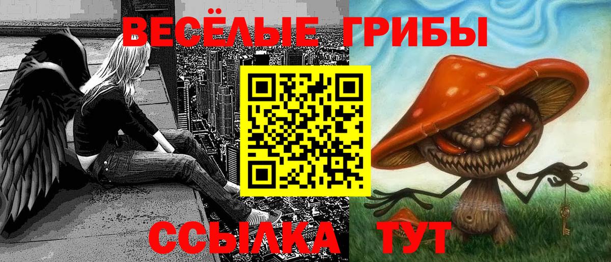 Галлюциногенные грибы GOLDEN TEACHER Гуково